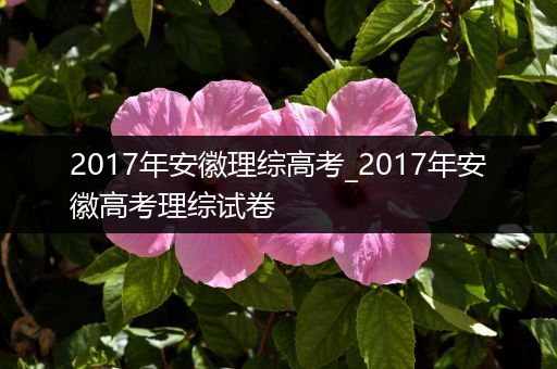 2017年安徽理综高考_2017年安徽高考理综试卷