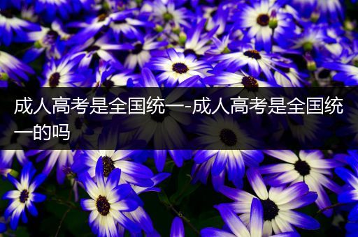 成人高考是全国统一-成人高考是全国统一的吗