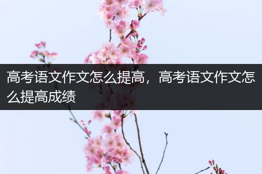 高考语文作文怎么提高，高考语文作文怎么提高成绩