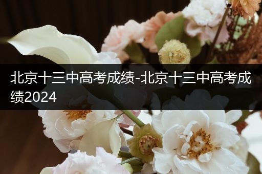 北京十三中高考成绩-北京十三中高考成绩2024