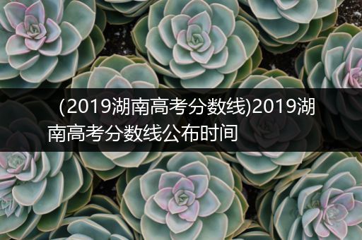 （2019湖南高考分数线)2019湖南高考分数线公布时间