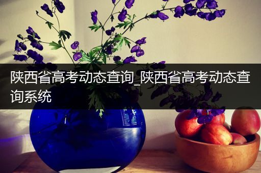 陕西省高考动态查询_陕西省高考动态查询系统