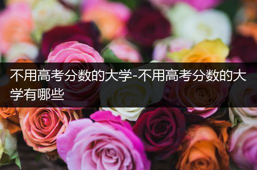 不用高考分数的大学-不用高考分数的大学有哪些