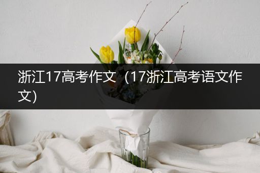 浙江17高考作文（17浙江高考语文作文）