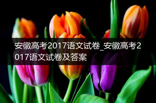 安徽高考2017语文试卷_安徽高考2017语文试卷及答案