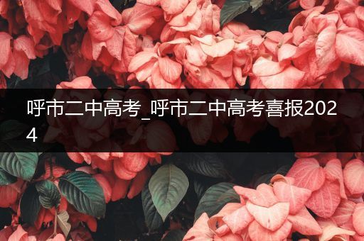 呼市二中高考_呼市二中高考喜报2024