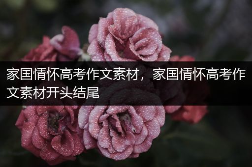 家国情怀高考作文素材，家国情怀高考作文素材开头结尾