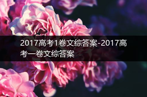 2017高考1卷文综答案-2017高考一卷文综答案